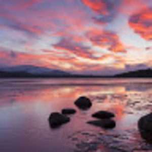 Meet your Posher, Kyla mcleod